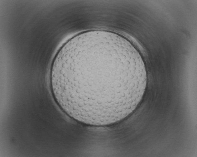 X0000116391432200912291741