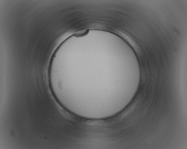 X0000116391434200912291741