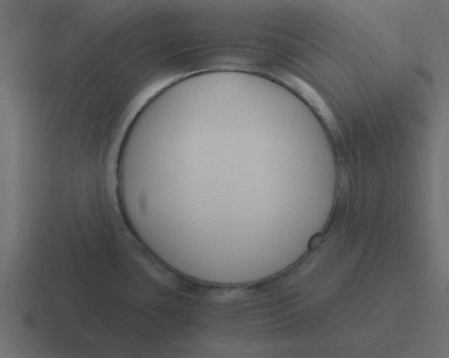 X0000116391435200912291741