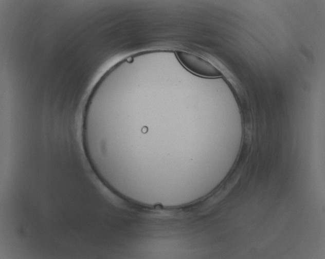 X0000116391438200912291741