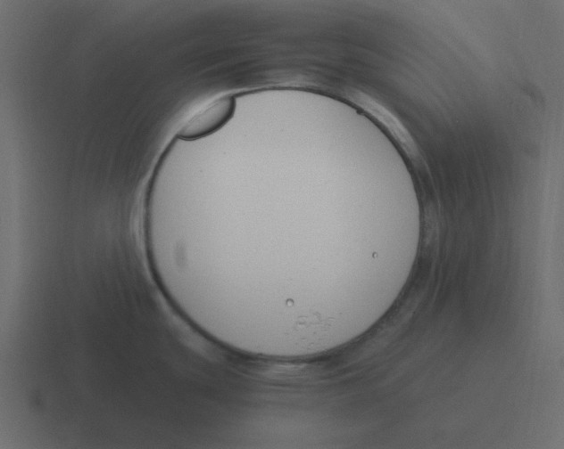 X0000116391439200912291741