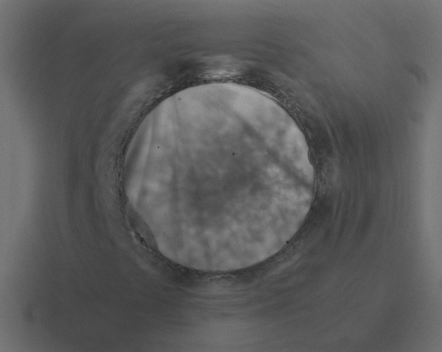 X0000116391441200912291741