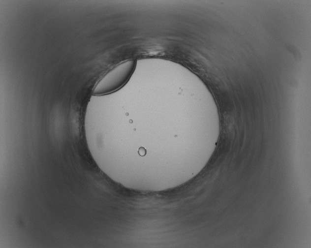 X0000116391442200912291741