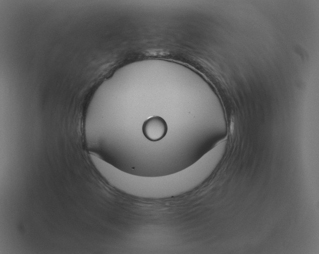 X0000116391444200912291741