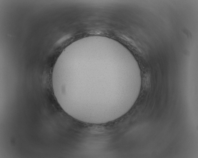X0000116391446200912291741