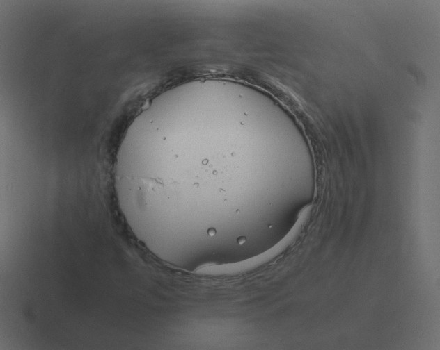 X0000116391447200912291741