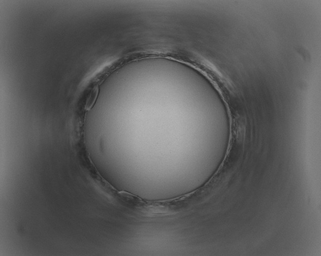 X0000116391448200912291741