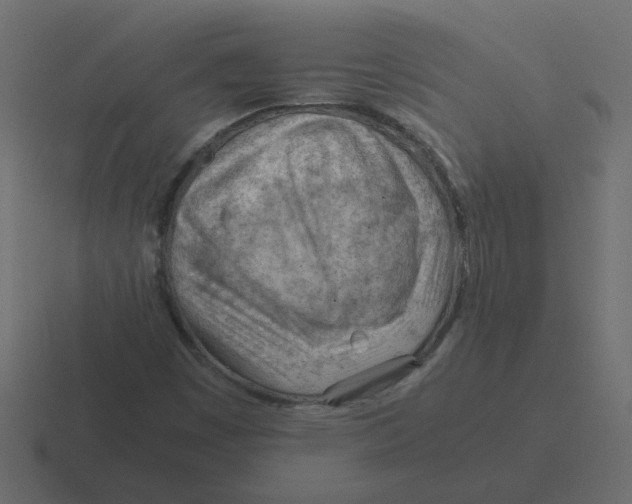 X0000116391449200912291741