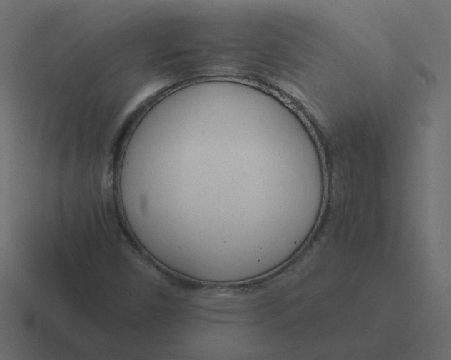 X0000116391450200912291741