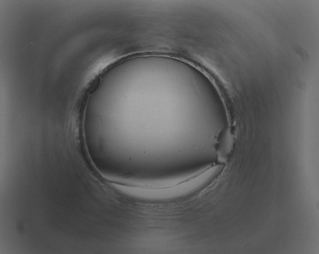 X0000116391455200912291741