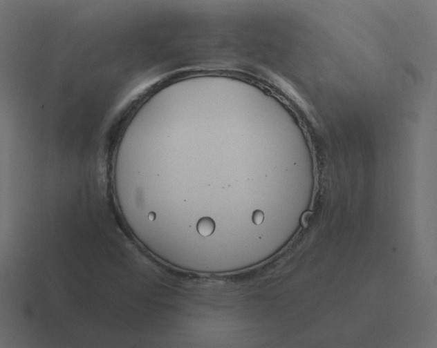 X0000116391456200912291741