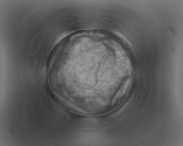 X0000116391457200912291741