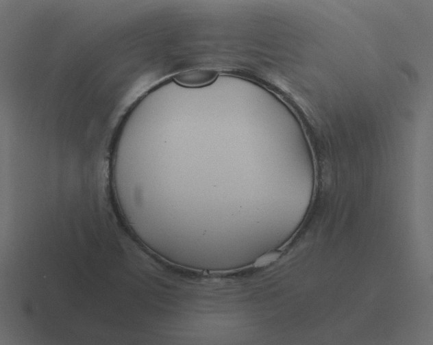 X0000116391459200912291741