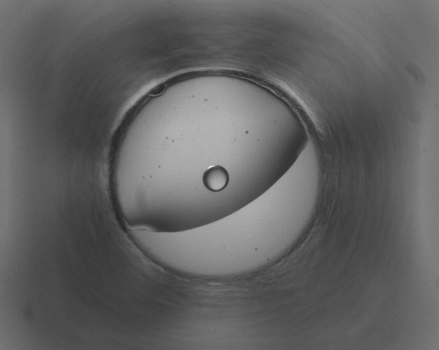 X0000116391460200912291741