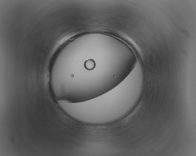 X0000116391461200912291741