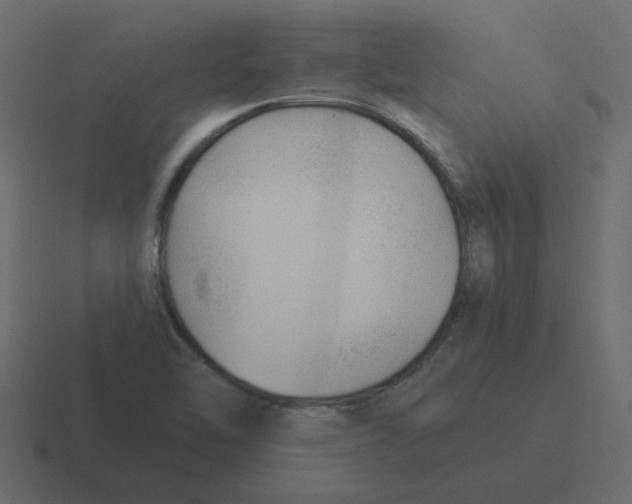 X0000116391462200912291741