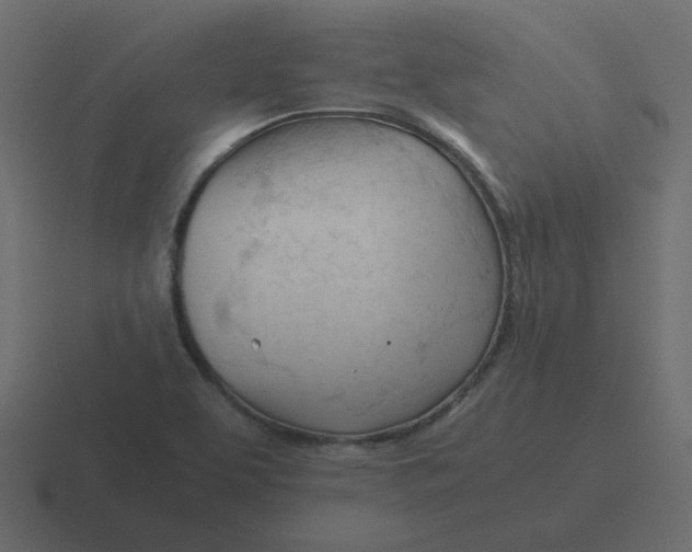 X0000116391463200912291741