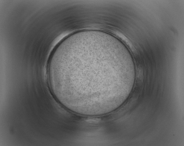 X0000116391466200912291741