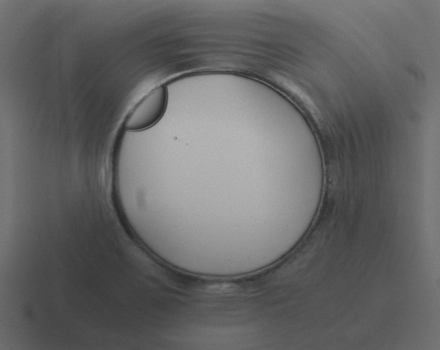 X0000116391467200912291740