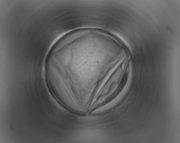 X0000116391468200912291740