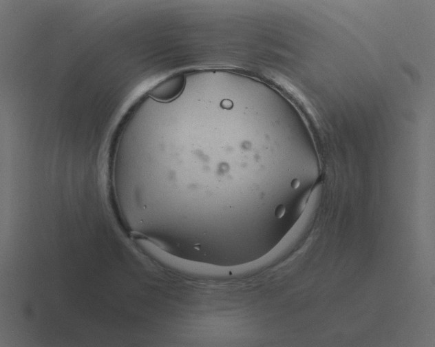 X0000116391469200912291740