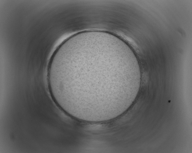 X0000116391470200912291740