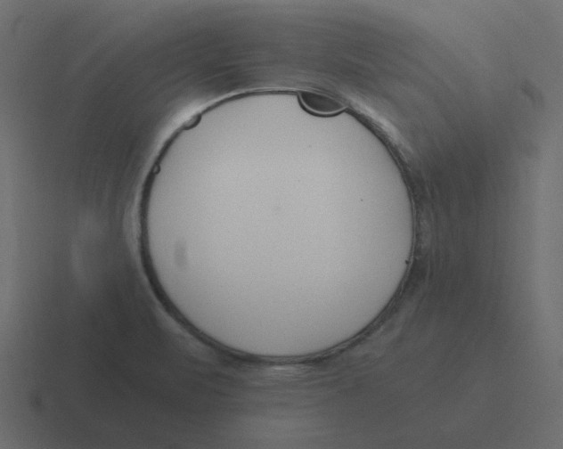 X0000116391471200912291740