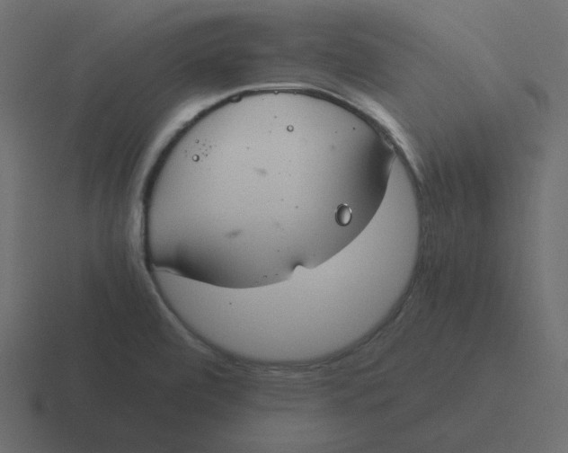 X0000116391472200912291740