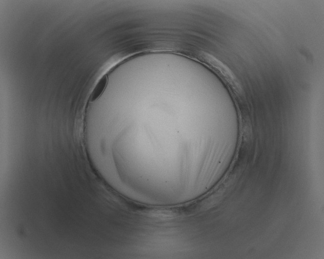 X0000116391473200912291740