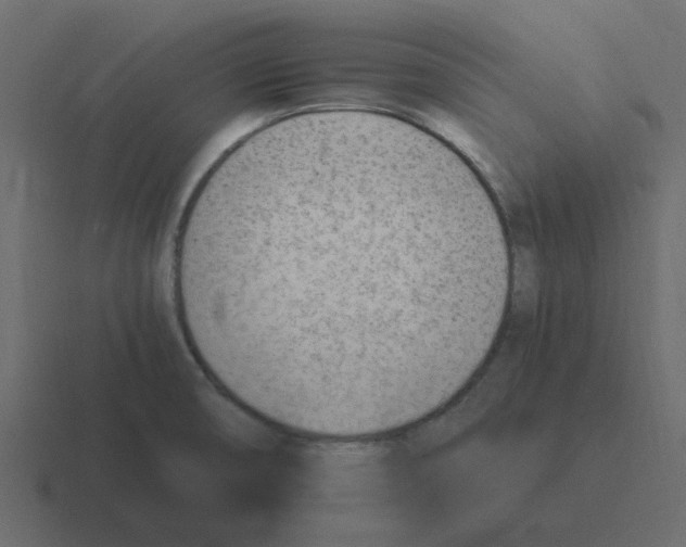 X0000116391474200912291740