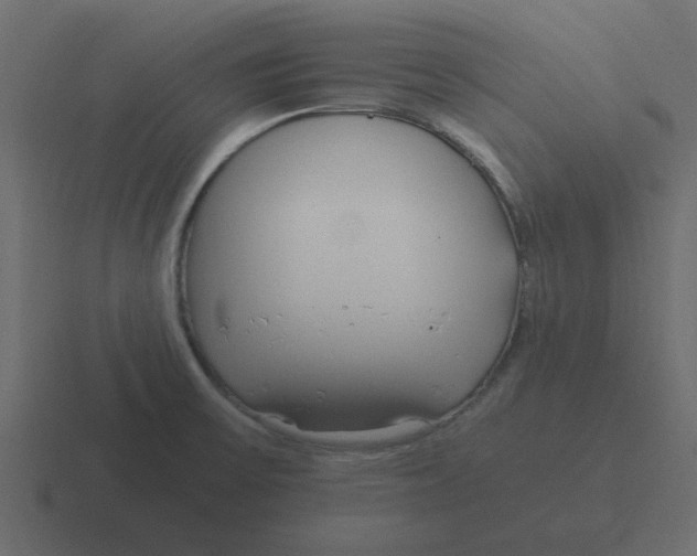 X0000116391475200912291740