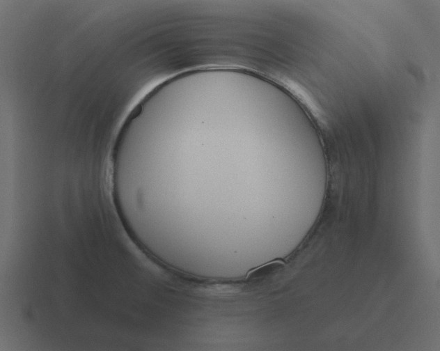 X0000116391476200912291740