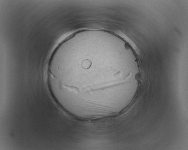 X0000116391477200912291740