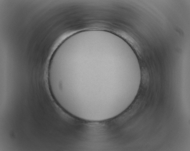 X0000116391478200912291740