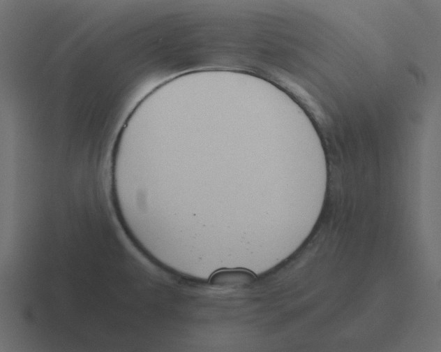 X0000116391479200912291740