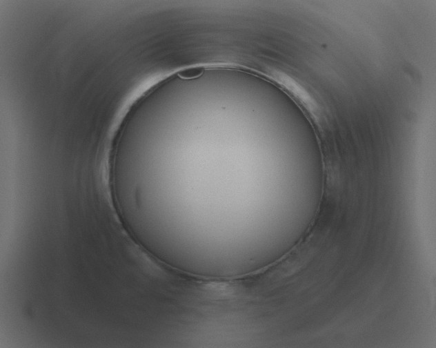 X0000116391480200912291740