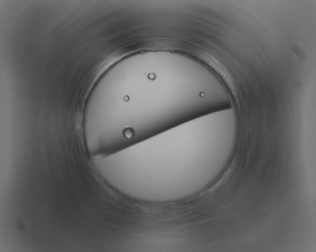 X0000116391481200912291740