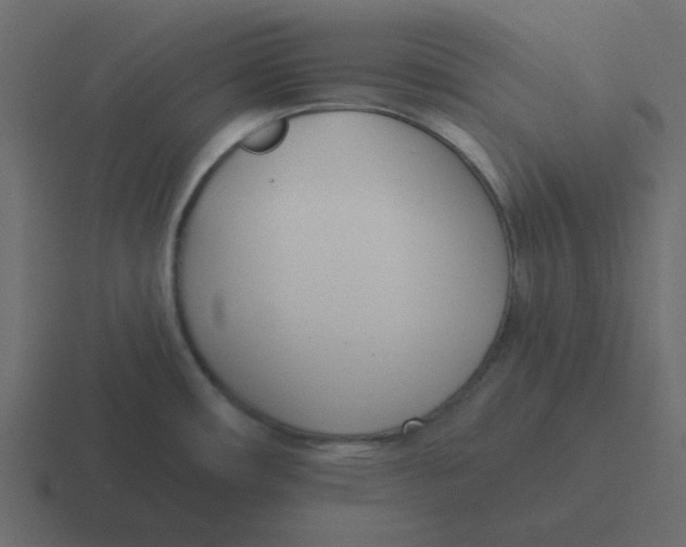 X0000116391482200912291740