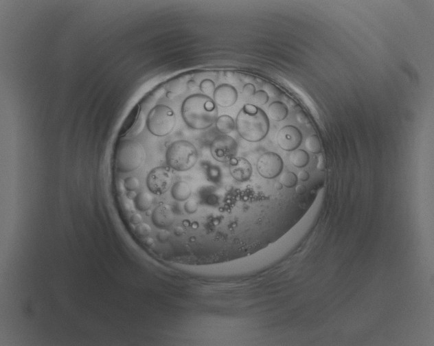 X0000116391483200912291740