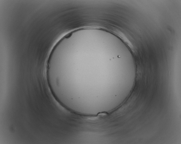 X0000116391484200912291740