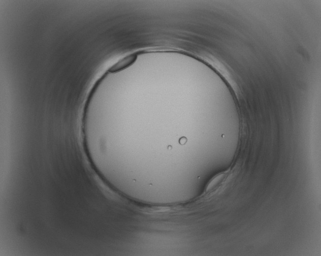 X0000116391485200912291740