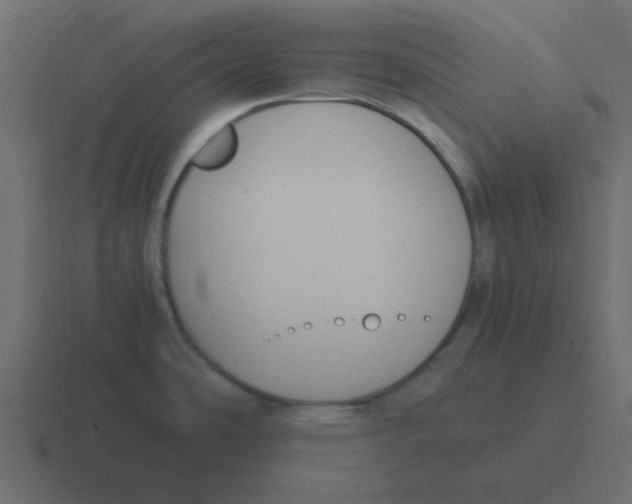 X0000116391486200912291740