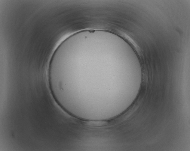 X0000116391487200912291740