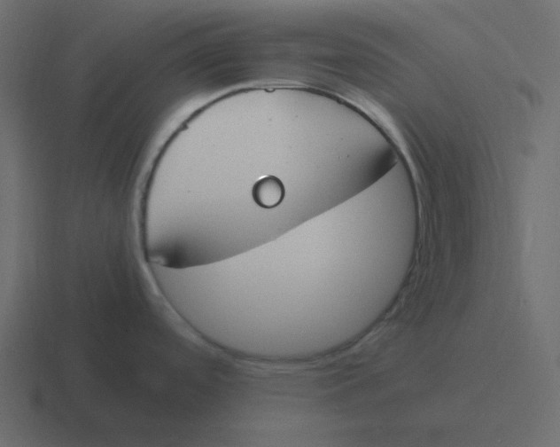 X0000116391488200912291740