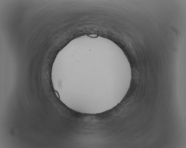 X0000116391489200912291740