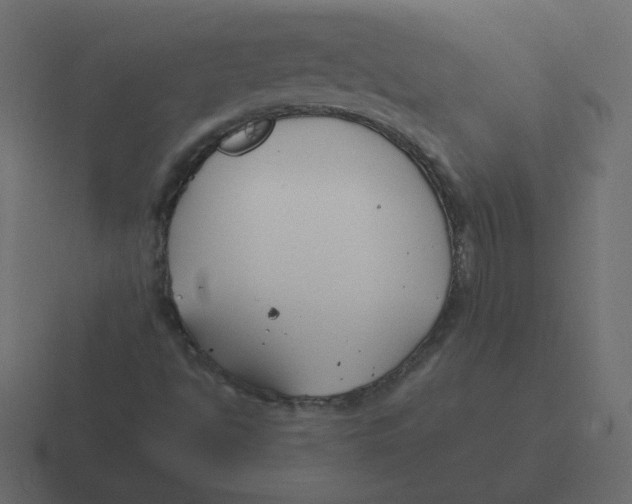 X0000116391494200912291740