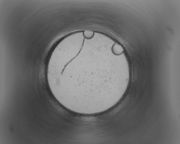 X0000116391498200912291740