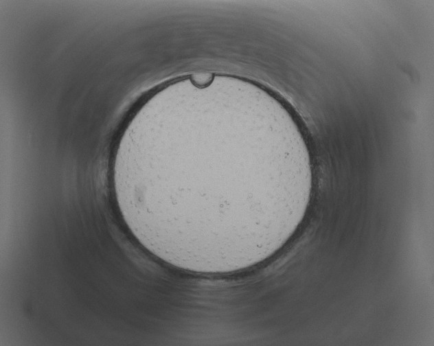 X0000116391499200912291740