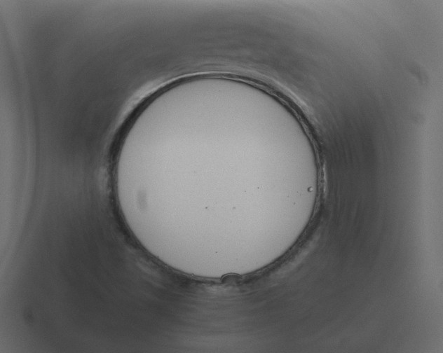 X0000116391501200912291740