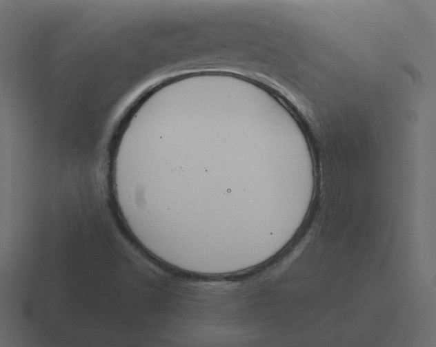 X0000116391502200912291740